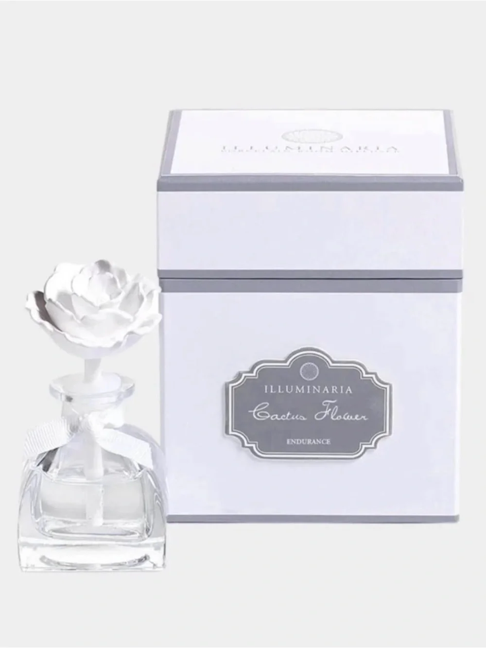 Zodax Illuminaria Cactus Flower Oil Diffuser - Endurance 40ml